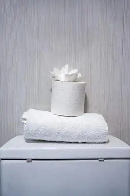 a stack of towels sitting on top of a toilet at Burnvale Apartment in Livingston