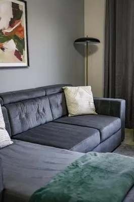 a gray couch in a living room with a lamp at Burnvale Apartment in Livingston