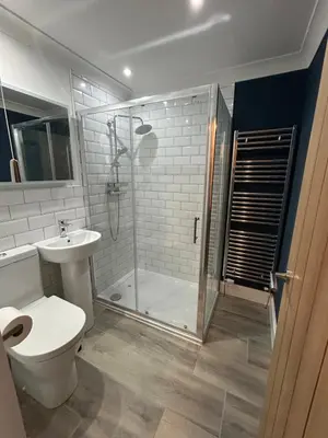 a bathroom with a shower and a toilet and a sink at 77 West Princes St, cosy 1 bed ground floor in Helensburgh