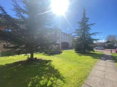 a tree in the grass in front of a building at Modern central 2 bedroom flat with private parking in Glasgow