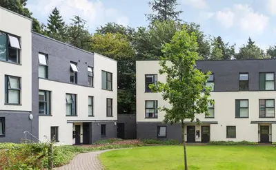 a row of buildings with a tree in a yard at Alexander Court Townhouse in Stirling