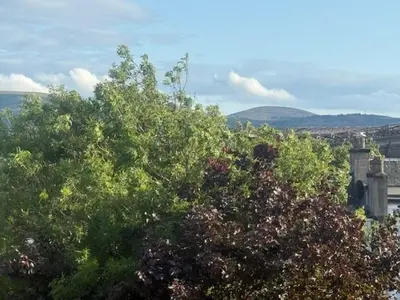 a group of trees with mountains in the background at Murrayfield Executive Apartment in Edinburgh