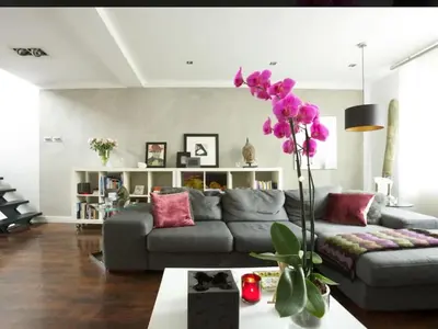 a living room with a gray couch and pink pillows at Central London stylish 2-Bed House, with 2 terraces in Moffat