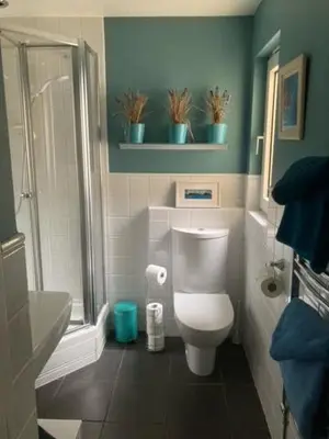 a bathroom with a white toilet and a shower at Dana Villa Holiday Accommodation in Oban