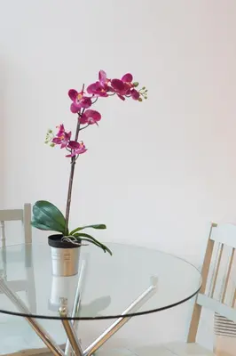 a glass table with a flower in a vase on it at Mitchell Street Glasgow Apartment in Glasgow