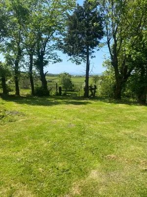 a field of grass with trees in the background at Fox House Thirdpart Farm in Beith