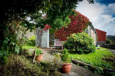 a house covered in flowers with a bench in the yard at Oban Seil Farm in Clachan