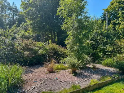 a garden with plants and a fence at The Heron in Ardentinny