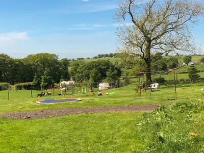 a park with a playground with horses in a field at Old Barn Farmhouse - Cc in Uplawmoor