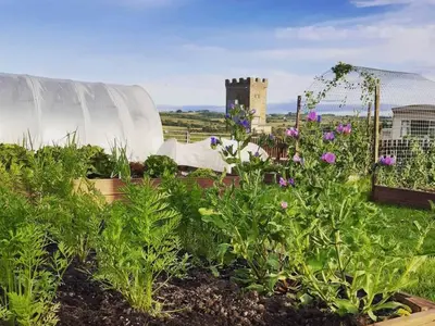 a garden with plants and flowers in front of a building at Old Barn Farmhouse - Cc in Uplawmoor