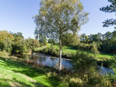 a tree standing in the middle of a river at Two The Stables in Dalrymple