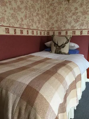 a bed with a deer head sitting on top of it at The Stag Head Hotel in Edinburgh