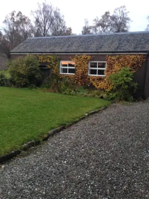 a house covered in ivy with a gravel driveway at Woodside Cottage Self Catering in Kinbuck