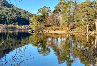 a view of a lake with trees in the background at 18 Lamont Lodges in Dunoon