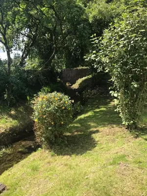a garden with a bush with yellow flowers in the grass at Garden Studio for Two in Doune