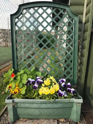 a planter filled with flowers in front of a fence at Garden Studio for Two in Doune