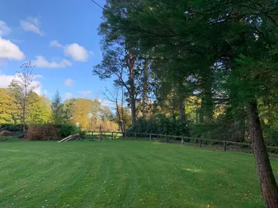 a large green field with a fence and a tree at Creity Hall Chalet in Stirling