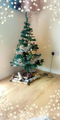 a christmas tree in the corner of a room at King Court Apartment in Motherwell