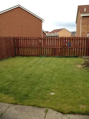 a backyard with a wooden fence and a green yard at Glasgow Hampden House in Glasgow