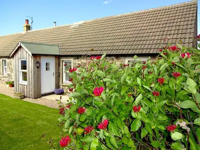 a house with a bush with red flowers in front of it at Charlies Cottage in Muasdale