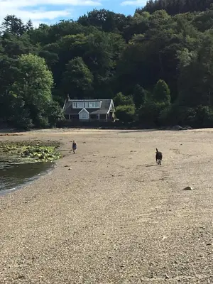a cat walking on the beach with a house in the background at The Carradale Hotel in Carradale