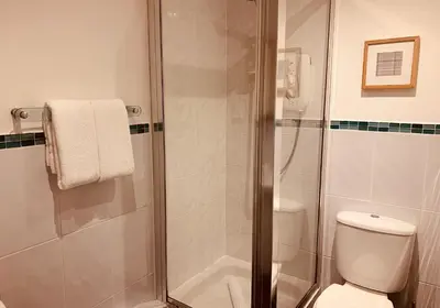 a bathroom with a shower and a toilet at The Webstersland Residence in Edinburgh