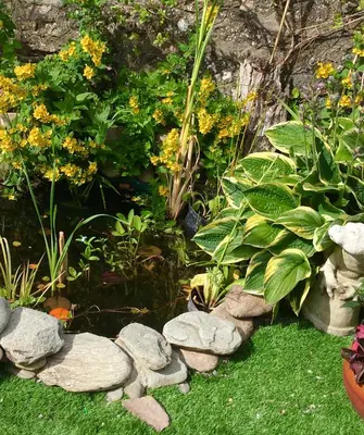 a garden with a pond with rocks and flowers at Alpine cottage in Crieff