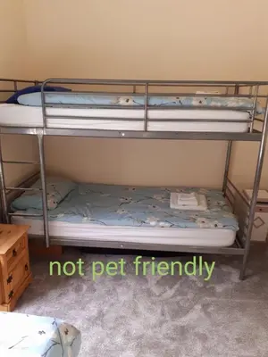 two bunk beds in a room with the words not pet friendly at Commodore Guesthouse, Seaside Holiday Suites in Rothesay