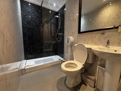 a bathroom with a toilet and a shower and a sink at Safestay Glasgow Charing Cross in Glasgow