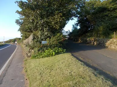a tree on the side of a road at Burnside Farm B & B in Girvan