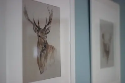 a picture of a deer in a picture frame at Cobbler's Cottage in Dunblane
