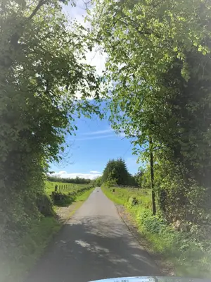 a road in the middle of a field with trees at Carnell Country Estate & Holiday Cottages in Ayrshire in Hurlford