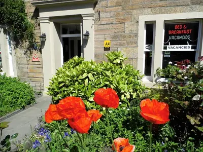 a group of red flowers in front of a building at Averon Guest House in Edinburgh
