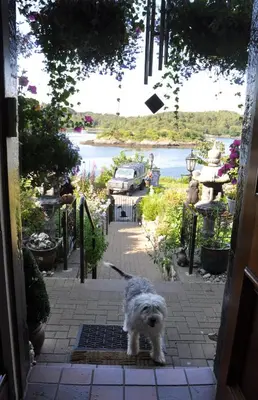 a dog standing in the doorway of a door at The Moorings in Tarbert
