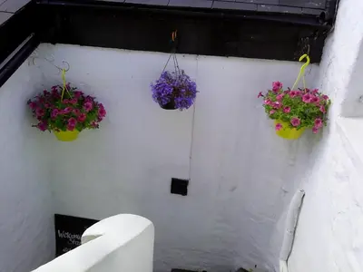 three pots of flowers hanging on a wall at Starfish Rooms in Tarbert