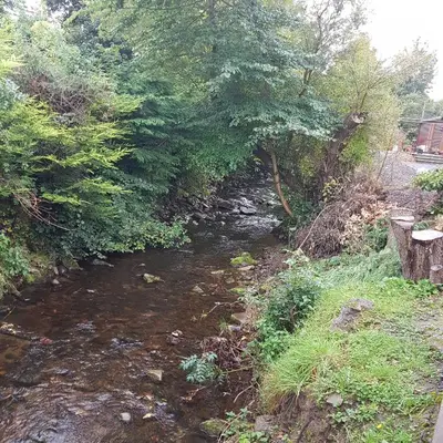 a stream of water with trees on the side at Bear Lodge in Auchterarder