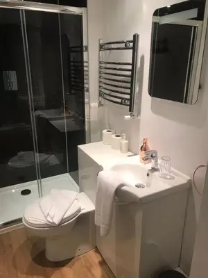 a bathroom with a toilet and a sink and a shower at Albyn Townhouse in Edinburgh