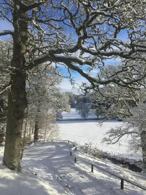 a snow covered park with a bench and a tree at Loch Monzievaird Chalets in Crieff