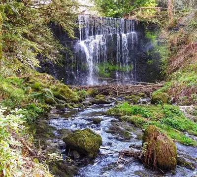a waterfall on the side of a river with moss at Finlaystone Barns in Port Glasgow