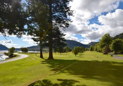 a green field with a tree and a road at Crann Mhor Holiday Home in Lochgoilhead