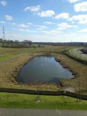 a large pond in the middle of a field at Crystal Apartments in Airdrie