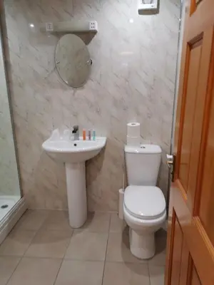 a bathroom with a toilet and a sink at The Greannan Lower Self catering apartment in Blackwaterfoot