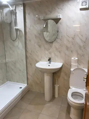 a bathroom with a toilet and a sink and a shower at The Greannan Lower Self catering apartment in Blackwaterfoot