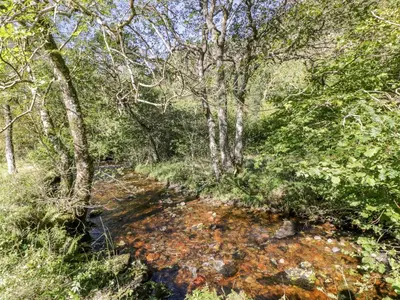 a stream in a wooded area with trees at Glen Euchar House in Kilninver