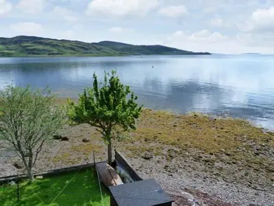 a tree on the shore of a body of water at Top Flat in Tighnabruaich
