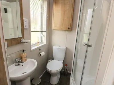 a bathroom with a toilet and a sink and a shower at Woodstock Lodge in Skelmorlie