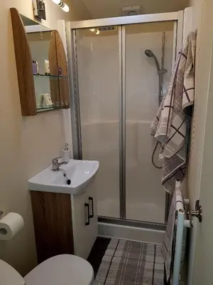 a bathroom with a shower and a toilet and a sink at Shanthi Lodge in Dunning