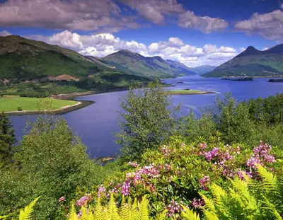 a view of a lake with mountains and flowers at The Glencoe Inn in Glencoe