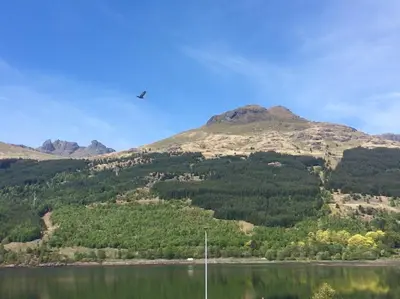 a bird flying over a lake with mountains in the background at TwoStones in Arrochar