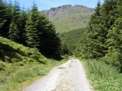 a dirt road with trees on the side of a mountain at TwoStones in Arrochar